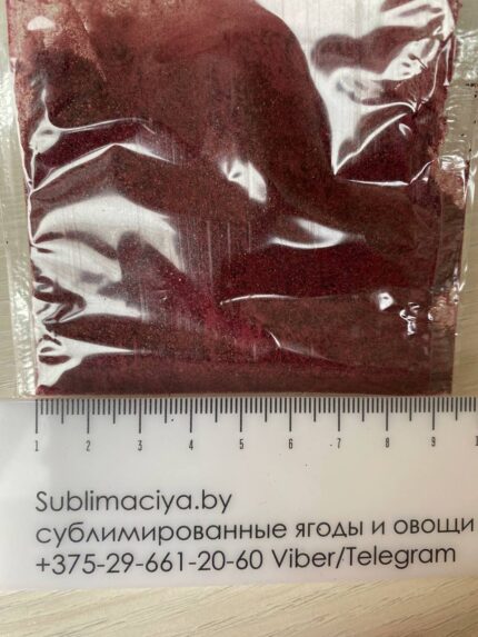 Черная смородина сублимированная 1 мм