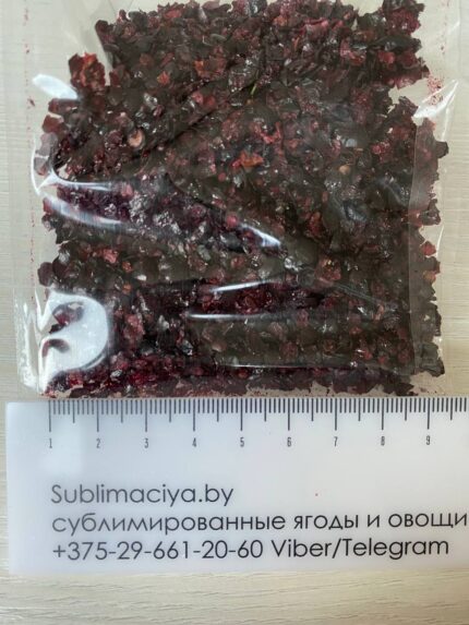 Черная смородина сублимированная 3-6 мм